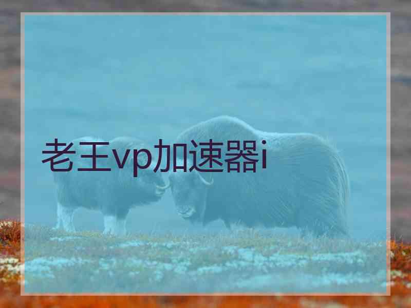 老王vp加速器i