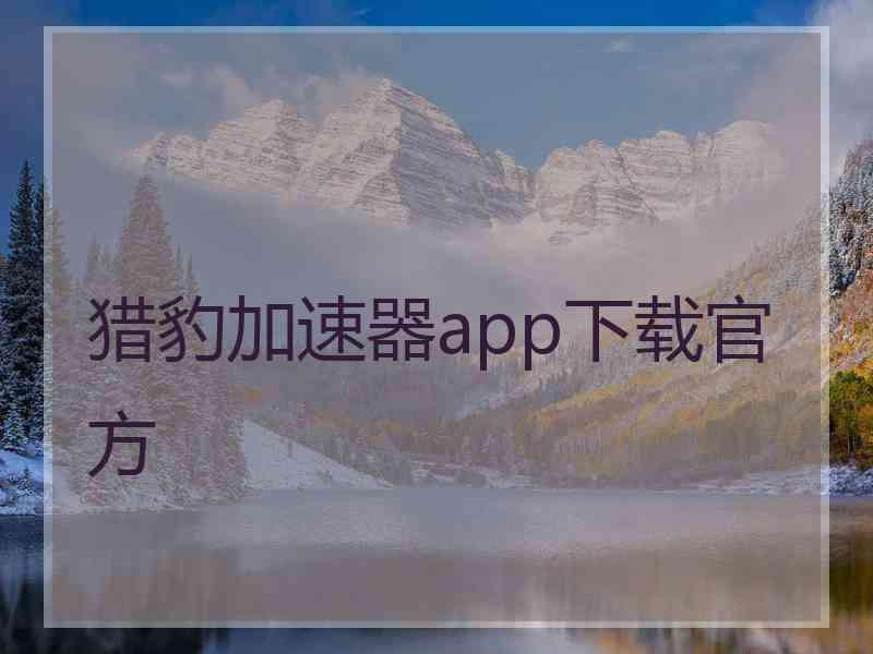 猎豹加速器app下载官方
